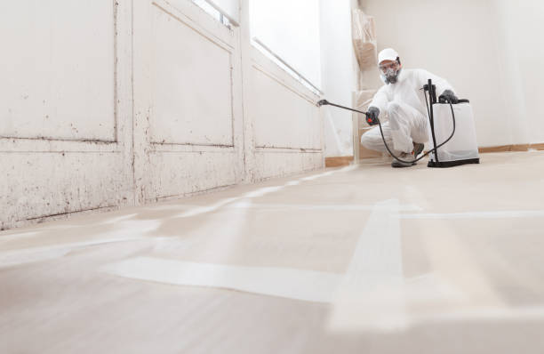 24/7 Emergency Mold Remediation experts in Audubon, PA